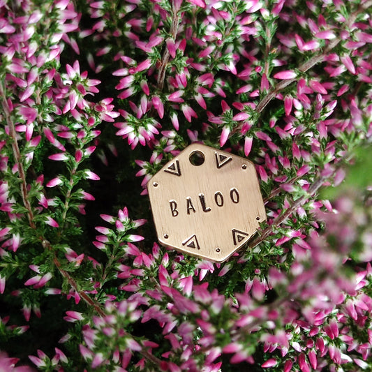 HEX MINI – kézzel kalapált sárgaréz kutyabiléta (25 × 21 mm)